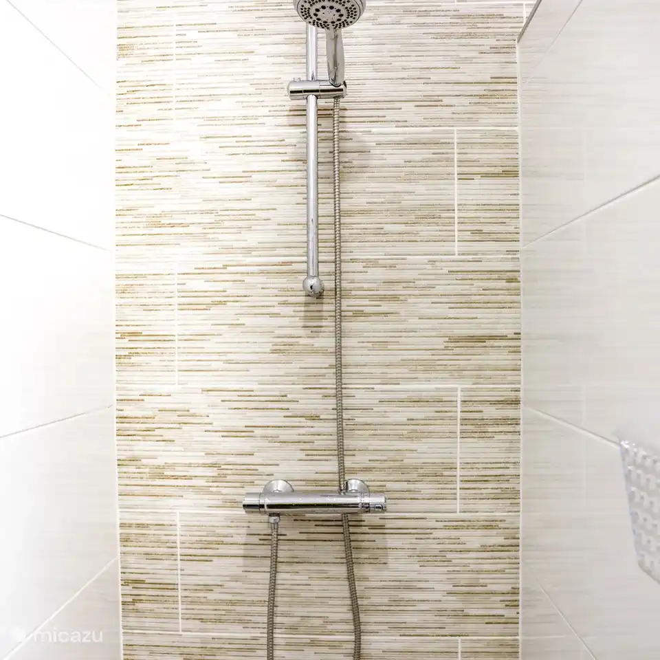 Cuarto de baño con ducha