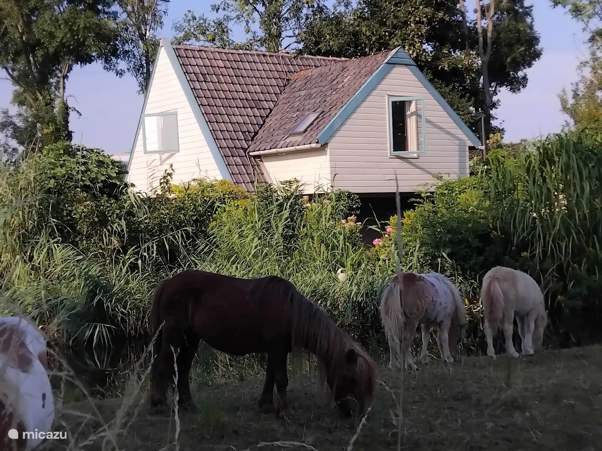 holiday house, Bleiswijk, South Holland, Netherlands - Cottage in the Green