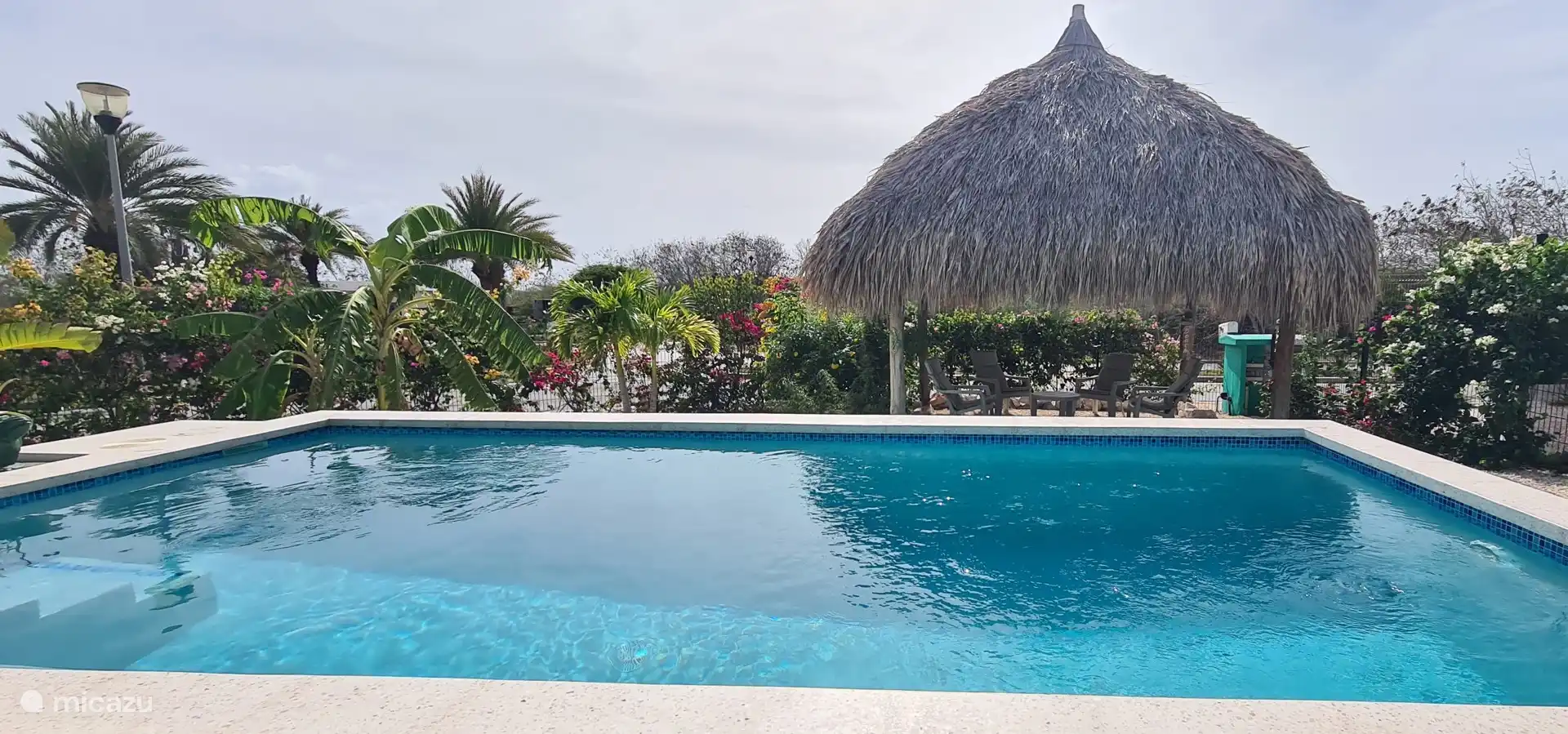Swimming pool overlooking the Palapa
