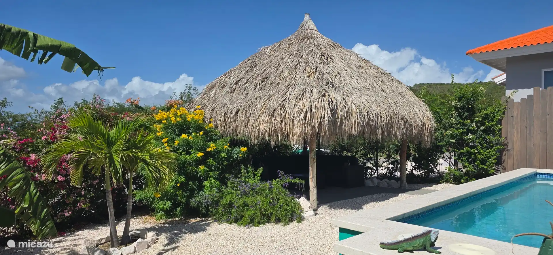 Palapa