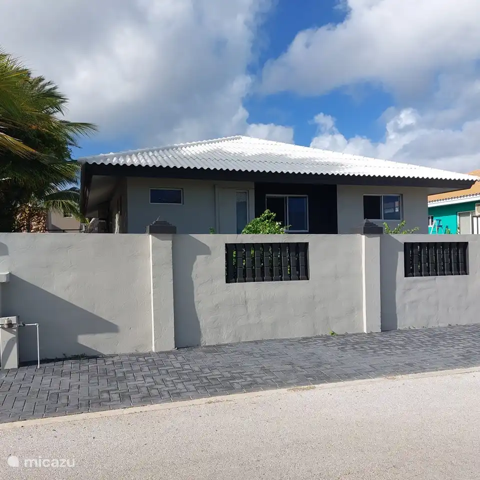 House from the road, with garden wall