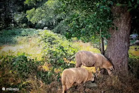 Espaces naturels dans la région