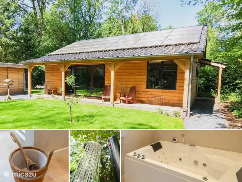 Ecolodge De Bosil | Pays-Bas, Drenthe, Westerbork - Bungalow Ecolodge De Bosil | Pays-Bas, Drenthe, Westerbork - Bungalow