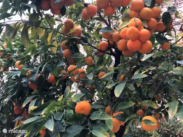 Terraza24 de la baie de Calp | Espagne, Costa Blanca, Calpe - appartement alentours