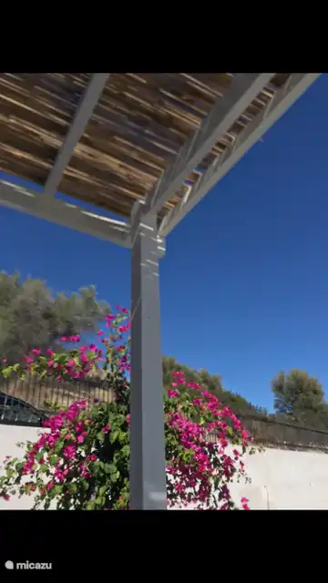 El cielo siempre azul