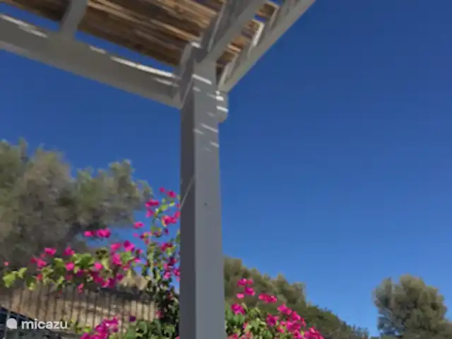 Zomers Buiten | Grèce, Égine, Salamina - villa Le ciel toujours bleu