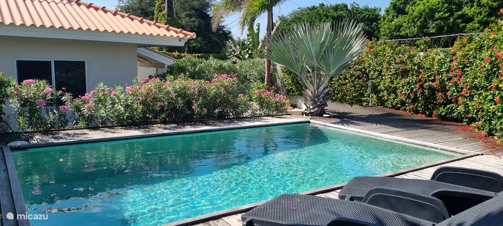 apartment, Bapor Kibra, Banda Ariba (East), Curaçao - Casa Ofori