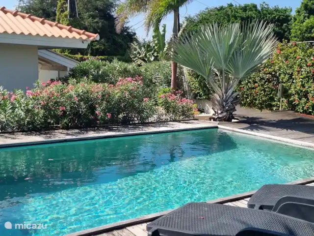 Location de Vacances Curaçao, Banda Ariba (est), La Privada (Mambo Beach), appartement - Casa Ofori Location de Vacances Curaçao, Banda Ariba (est), La Privada (Mambo Beach), appartement - Casa Ofori
