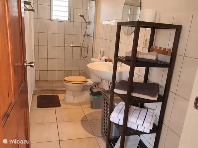 Location de Vacances Curaçao, Banda Ariba (est), La Privada (Mambo Beach), appartement - Casa Ofori La salle de bain dispose d'une douche avec eau chaude, d'un lavabo et de toilettes