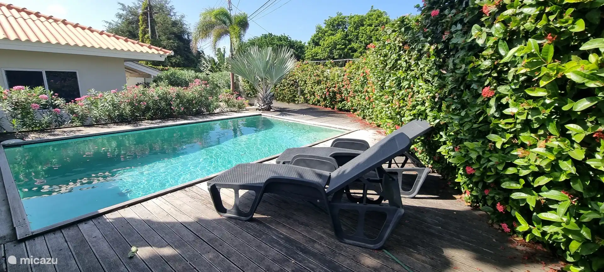 The communal swimming pool with sun beds