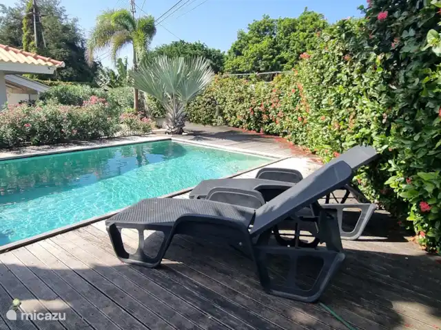 Location de Vacances Curaçao, Banda Ariba (est), La Privada (Mambo Beach), appartement - Casa Ofori La piscine commune avec transats