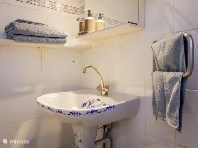 Castillo Mondou en Francia, Lot y Garona, Villeneuve-sur-Lot - casa rural / cabaña baño de la grangee