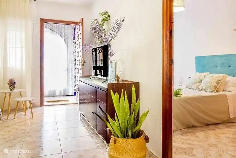 Natural light in the living room