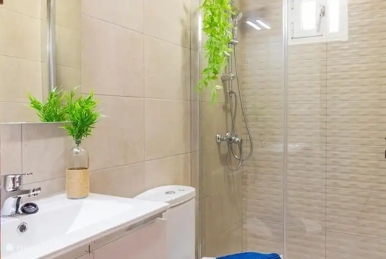 Beautiful walk-in shower