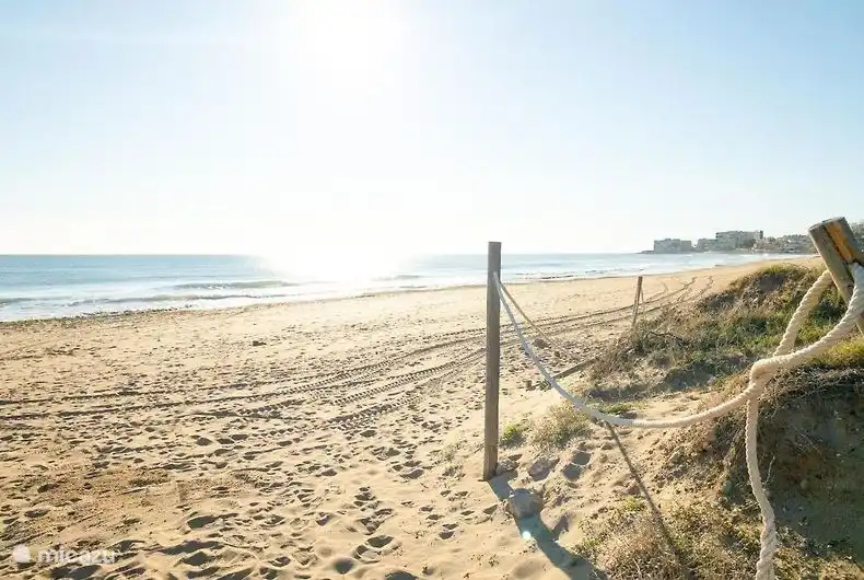 Beautiful nature in the area