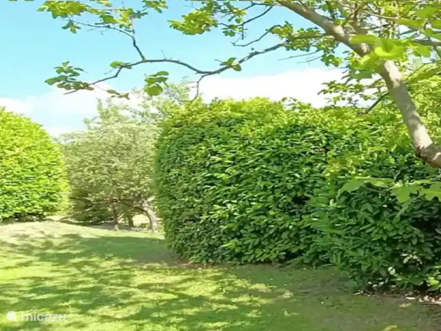 Casa dei Sogni d'Oro -App. Loretello | Italie, Marche, Arcevia - appartement jardin