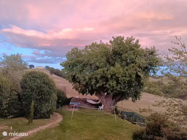 Casa dei Sogni d'Oro -App. Loretello | Italie, Marche, Arcevia - appartement mûrier dans la cour avant