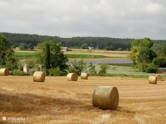 La Cabane huren in Frankrijk, Maine-et-Loire, Les Bois d'Anjou - gîte / cottage uitzicht vanaf lavau