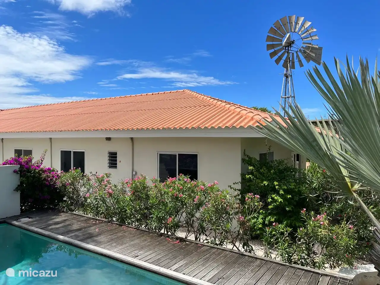 Casa Dushi Bida(Central location) in Curaçao, Banda Ariba (East), Mambo Beach - Apartment
