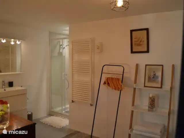 Ensemble Valante | France, Lot-et-Garonne, Agen - maison de vacances Gîte 1 : salle de bain