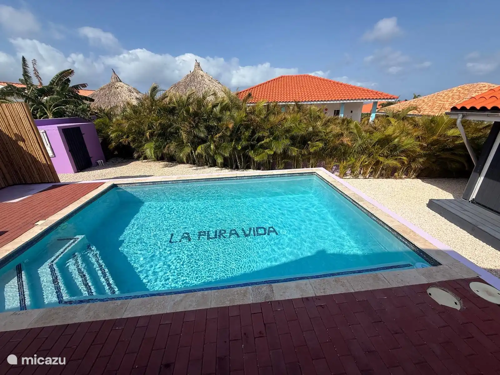 La piscine pour se rafraîchir.
Avec un magnifique fond de palmiers d’église.