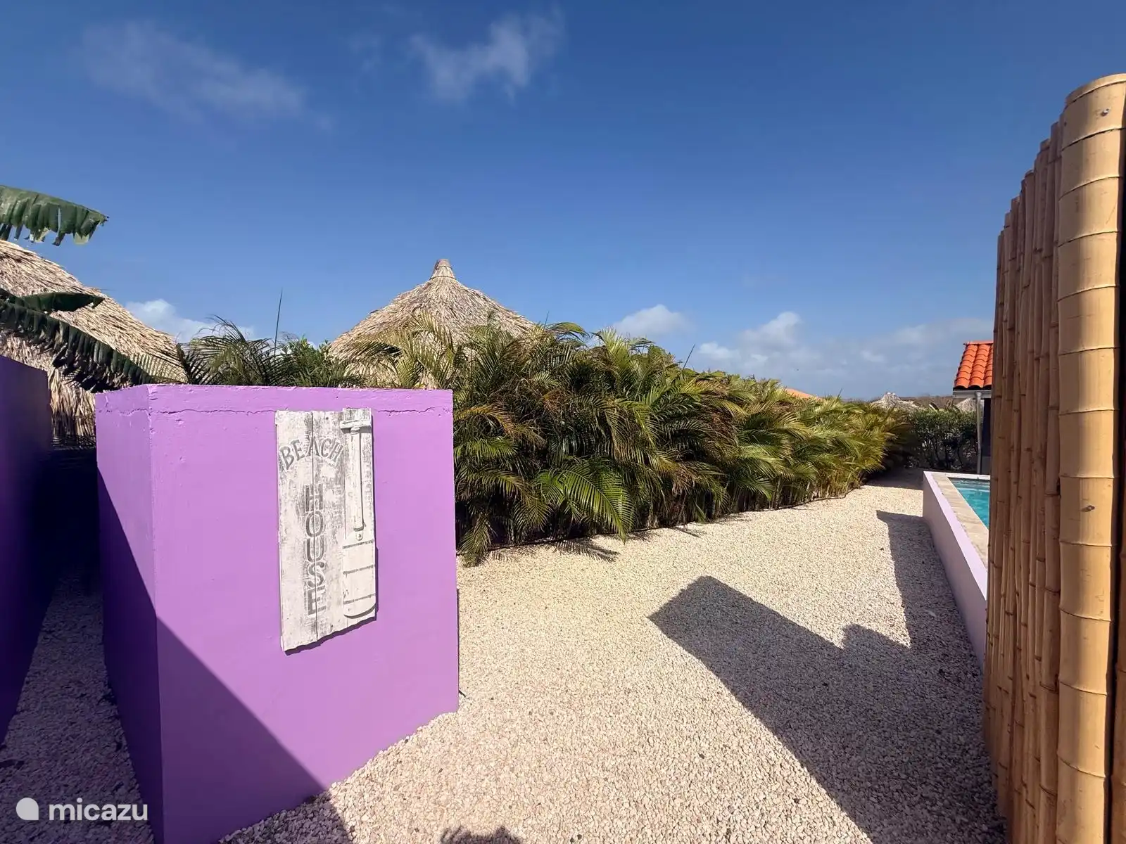 Maison de pompe avec une haie de palmiers d’église derrière.