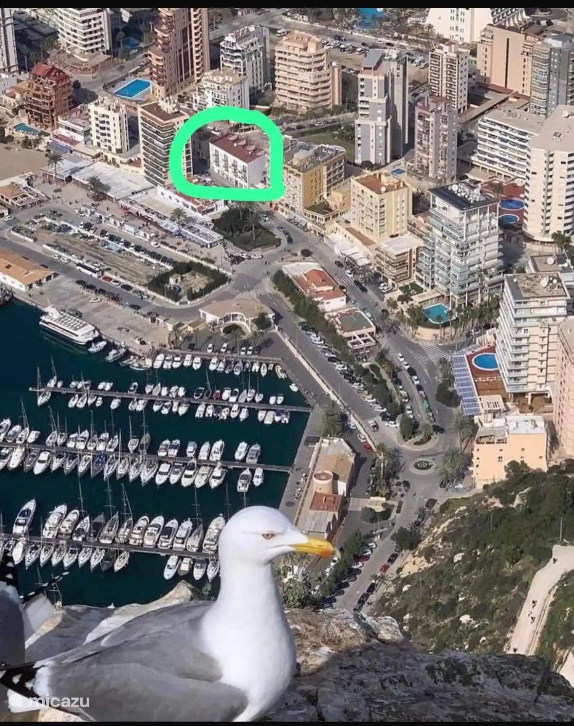 Lage der Immobilie im Hafen von Calpe