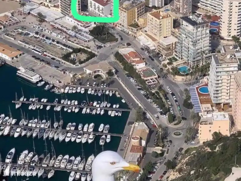 cómodo apartamento en el puerto de calpe en España, Costa Blanca, Calpe - Apartamento cómodo apartamento en el puerto de calpe en España, Costa Blanca, Calpe - Apartamento