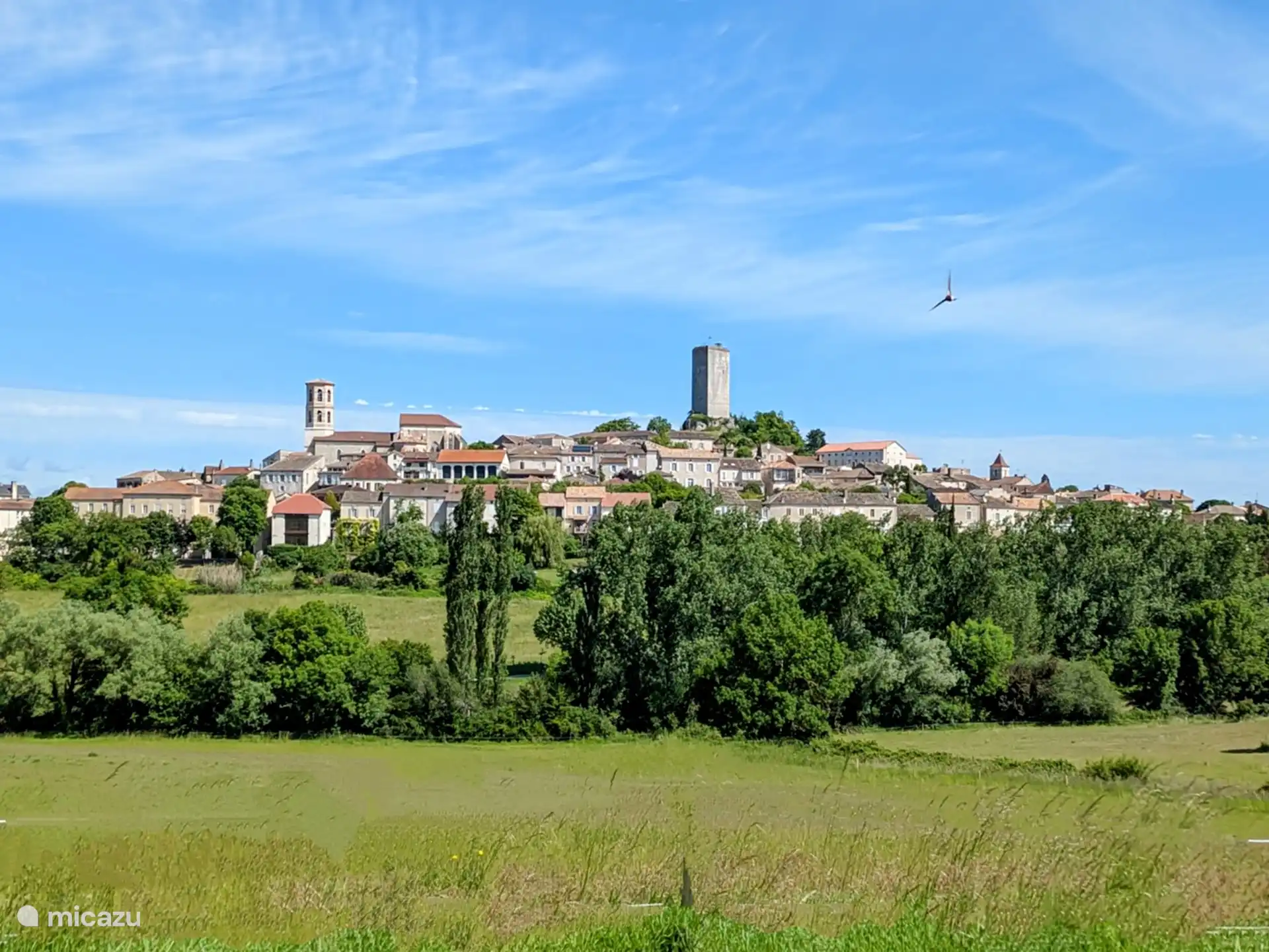 Montcuq