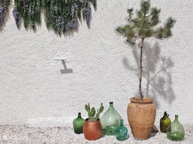 Le Cabernet | France, Lot, Montcuq - gîte / cottage Plantes méditerranéennes