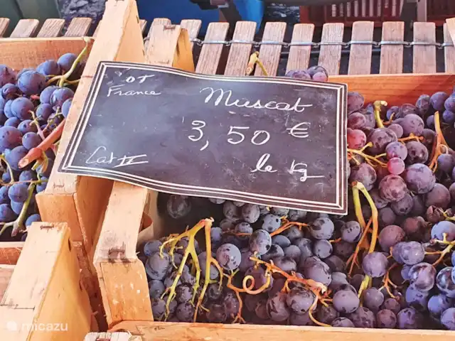 Le Cabernet | France, Lot, Montcuq - gîte / cottage Marché local