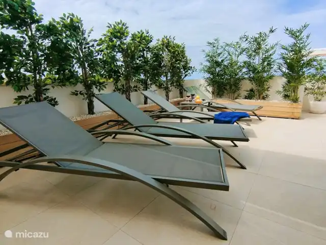 maison unique | Espagne, Costa Blanca, Torrevieja - maison de vacances Casa Unica + étage supplémentaire