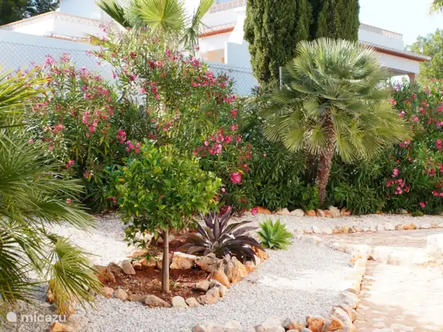 Casa de Isabella  | Espagne, Costa Blanca, Jávea - maison de vacances Jardin