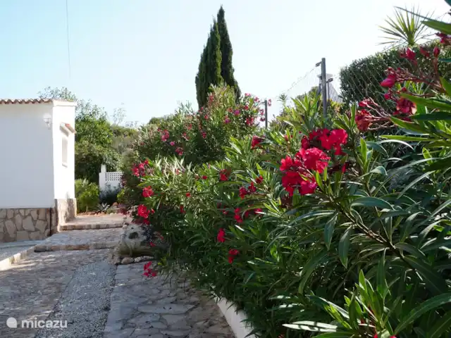 Casa de Isabella  | Espagne, Costa Blanca, Jávea - maison de vacances Splendeur florale dans le jardin