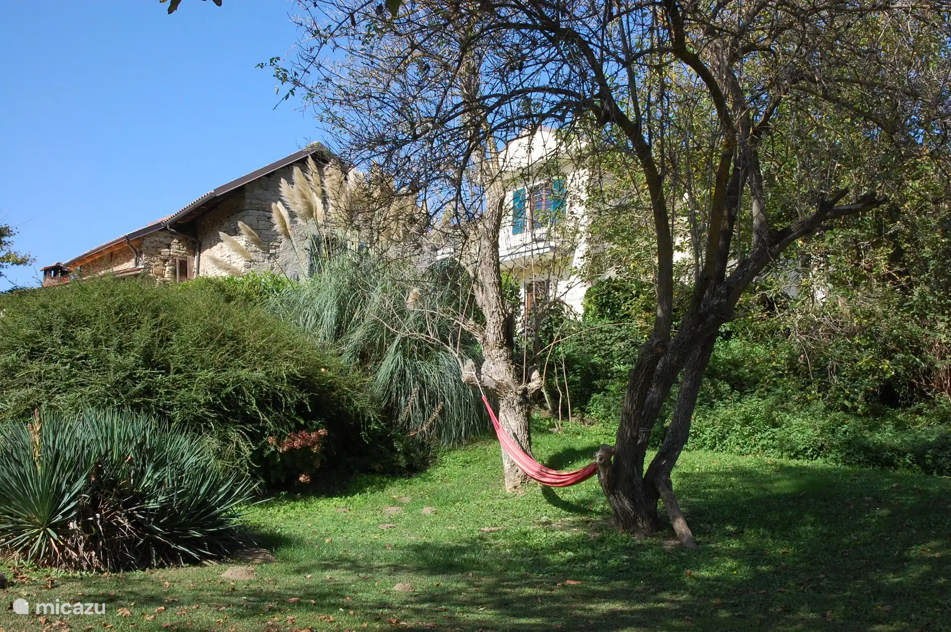 Baum mit Hängematte mit im Hintergrund Ferienhaus Capriolo und die Wohnungen