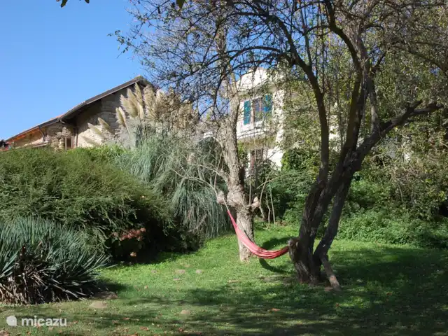 Casavabene Appartement Cinghiale huren in Italië, Piëmont, Murazzano - appartement Boom met hangmat met op achtergrond huisje Capriolo en de appartementen