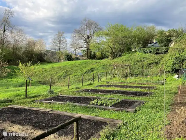 Casavabene Appartement Cinghiale huren in Italië, Piëmont, Murazzano - appartement De moestuin van Casavabene