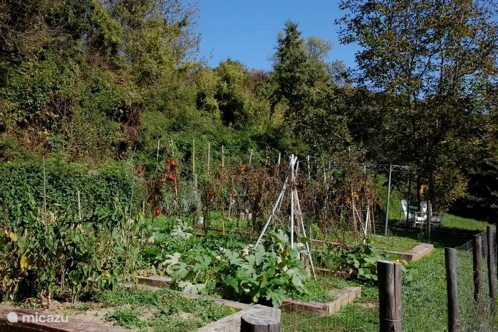 Der Gemüsegarten von Casavabene