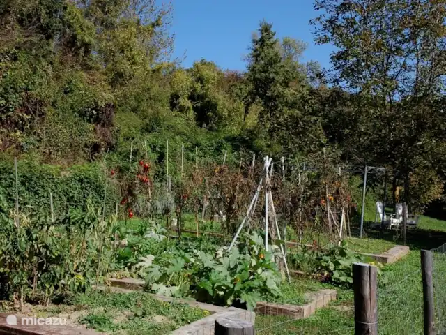 Casavabene Appartement Cinghiale huren in Italië, Piëmont, Murazzano - appartement De moestuin van Casavabene