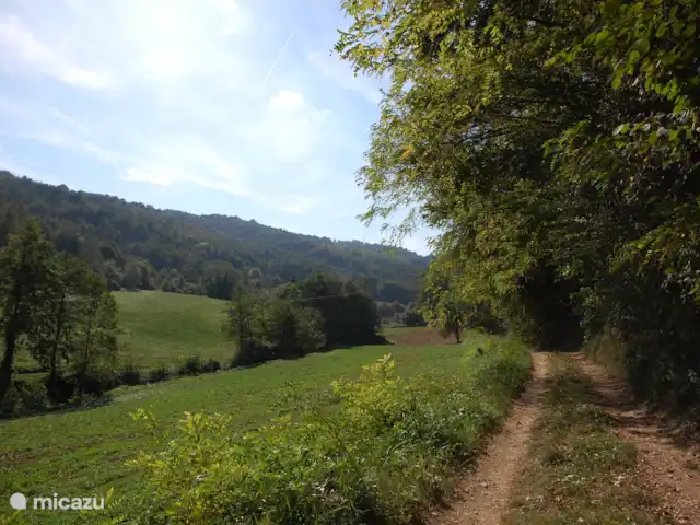 Casavabene Appartement Cinghiale huren in Italië, Piëmont, Murazzano - appartement Wandelpad dat ook langs Casavabene loopt