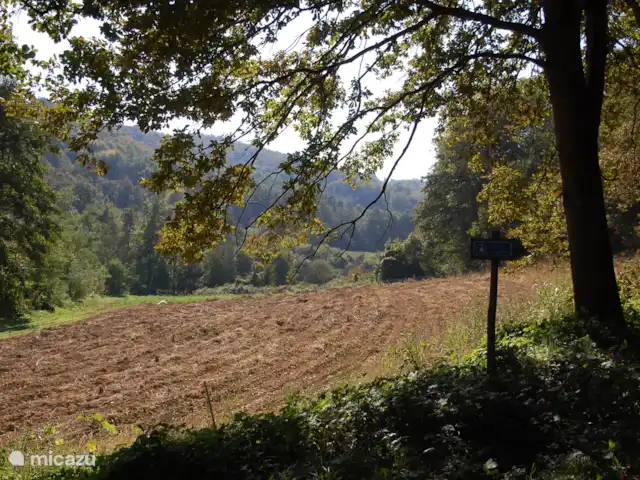 Casavabene Appartement Cinghiale huren in Italië, Piëmont, Murazzano - appartement Wandeling vanuit Casavabene
