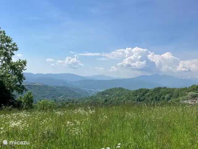 Casavabene Appartement Cinghiale huren in Italië, Piëmont, Murazzano - appartement Wandeling vanuit Casavabene