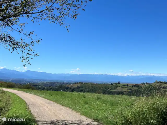 Casavabene Appartement Cinghiale huren in Italië, Piëmont, Murazzano - appartement Wandeling vanuit Casavabene