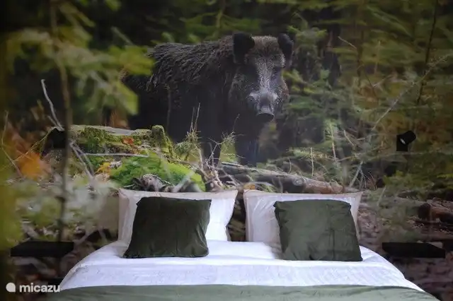 Cinghiales Schlafzimmer verfügt über ein Queensize-Bett.