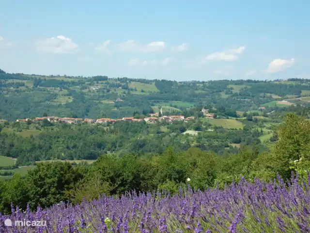 Casavabene Appartement Cinghiale huren in Italië, Piëmont, Murazzano - appartement Lavendelvelden