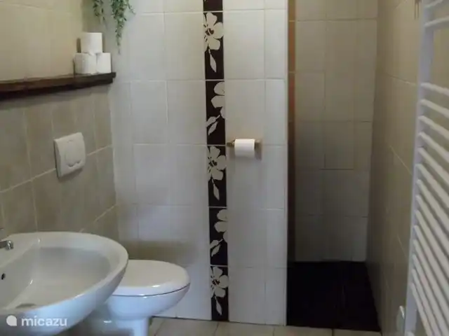 Casavabene Appartement Cinghiale huren in Italië, Piëmont, Murazzano - appartement De badkamer met wastafel, toilet en inloopdouche.