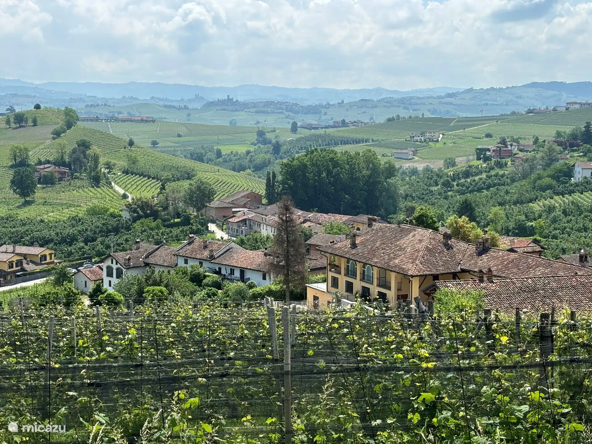 Weinberge in der Nähe von Barolo und La Morra