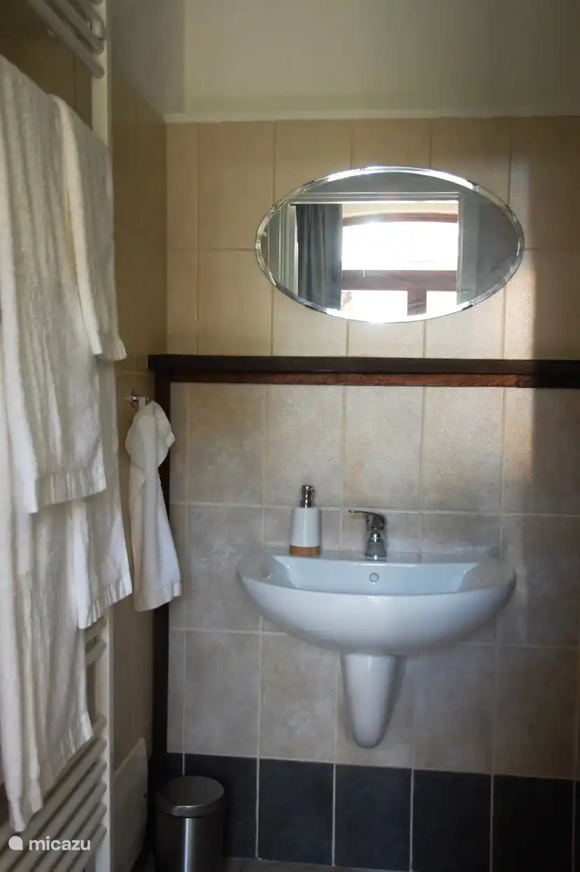 Badezimmer mit Waschbecken, Toilette und ebenerdiger Dusche