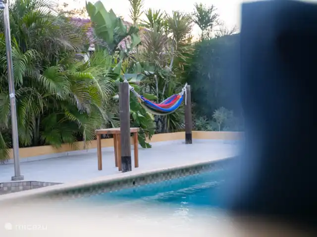 Sundancer Studio | Curaçao, Curaçao-Centre, Boca St. Michiel - studio Que vous souhaitiez bronzer, lire dans le hamac ou vous rafraîchir dans la piscine. Cet espace extérieur est entièrement équipé pour votre confort et votre tranquillité.