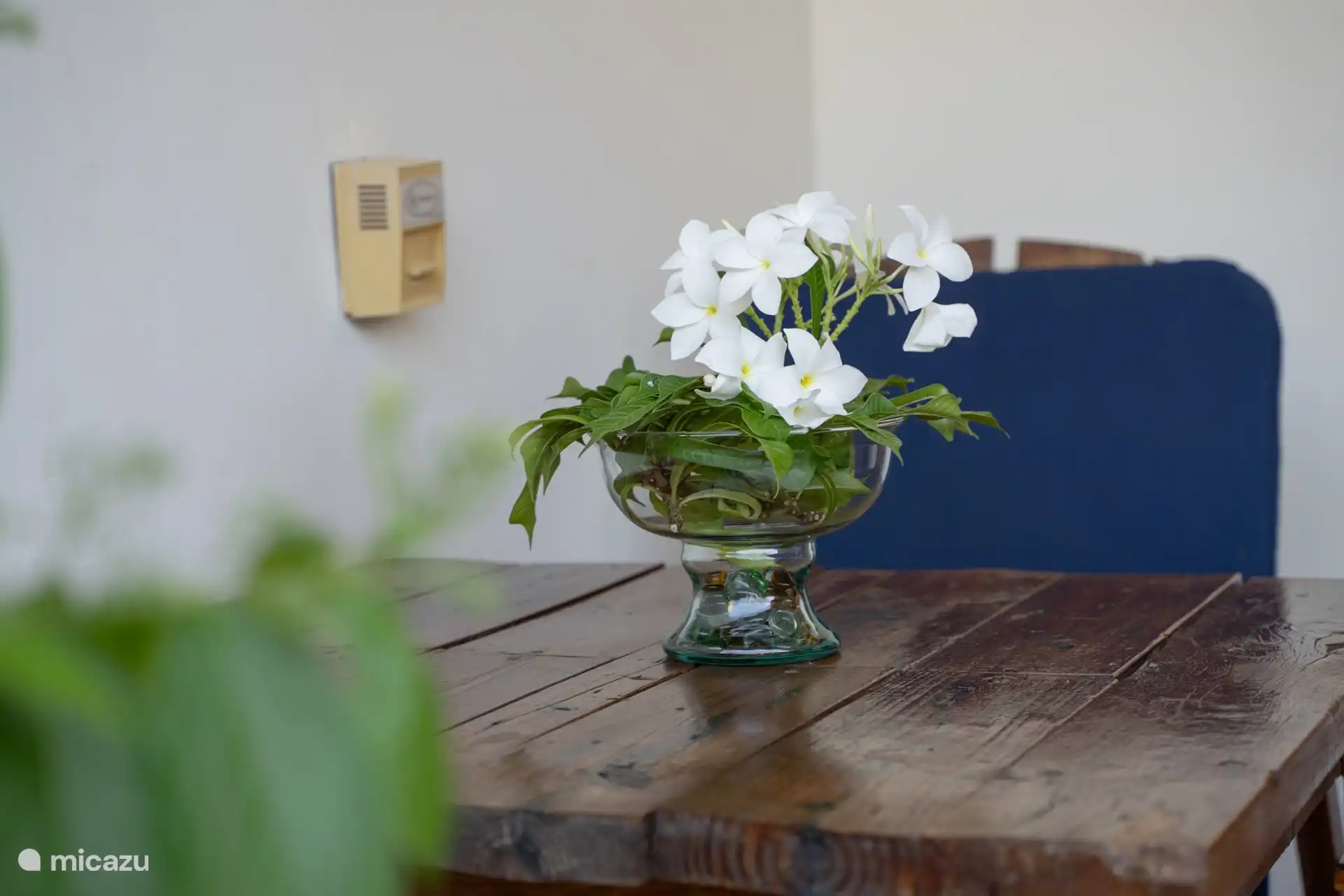 Tropische Oase in Curaçao, Curacao-Mitte, Boca St. Michiel - Studio